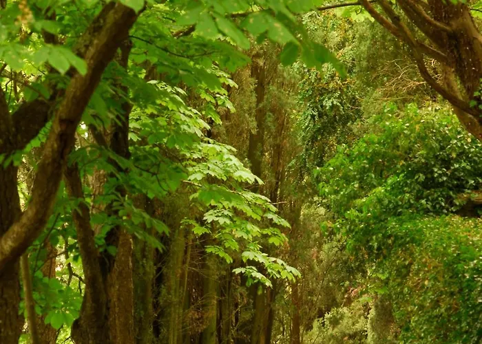 农家乐 黎莱斯拉托雷酒店 基亚萨苏普尔亚略