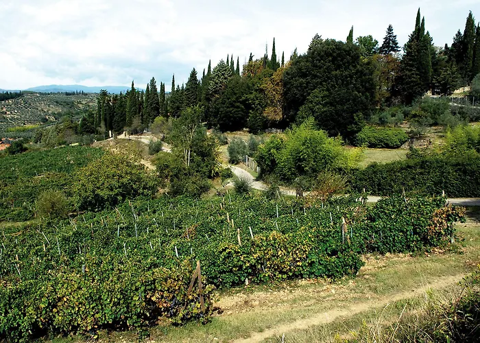 黎莱斯拉托雷酒店 农家乐 基亚萨苏普尔亚略