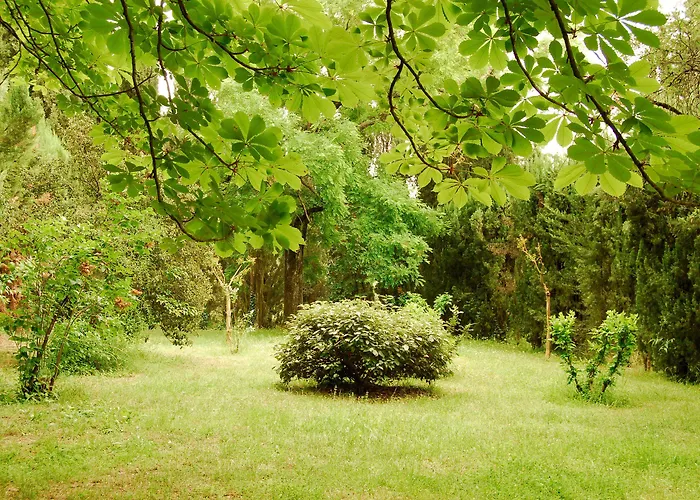 农家乐 黎莱斯拉托雷酒店 基亚萨苏普尔亚略