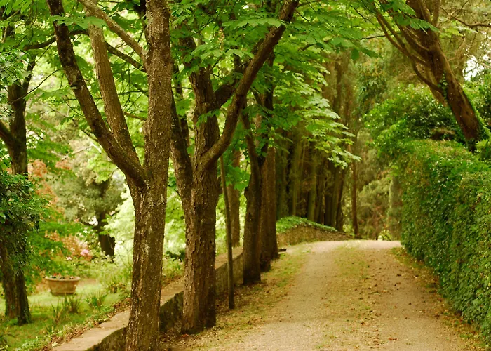 黎莱斯拉托雷酒店