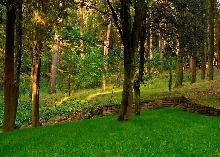 农家乐 黎莱斯拉托雷酒店 基亚萨苏普尔亚略