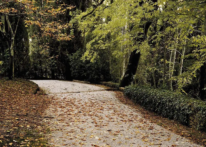 黎莱斯拉托雷酒店 农家乐 基亚萨苏普尔亚略